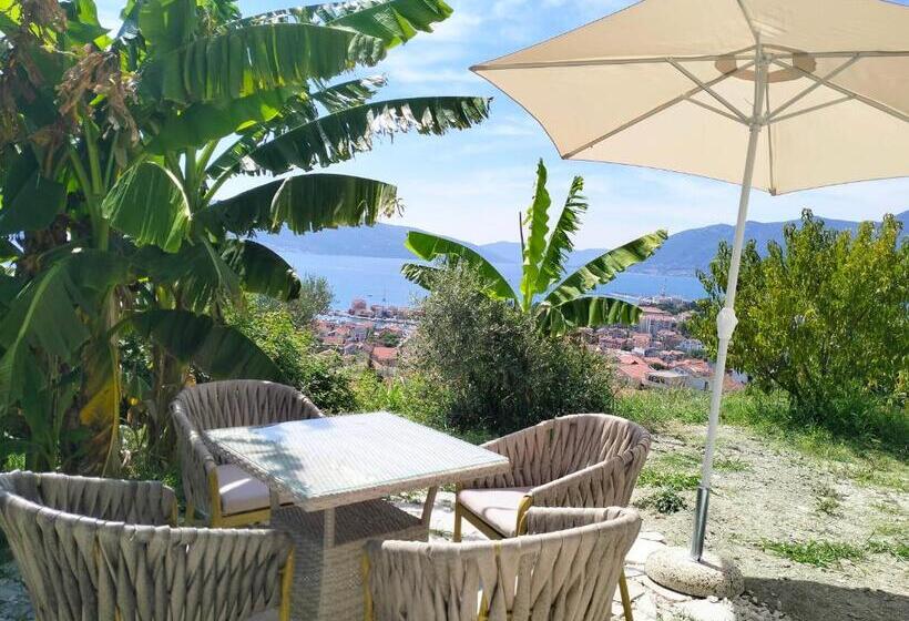 تختخواب و صبحانه Holliday Tivat