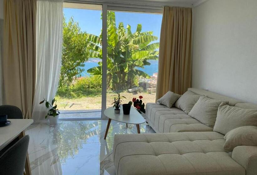 تختخواب و صبحانه Holliday Tivat