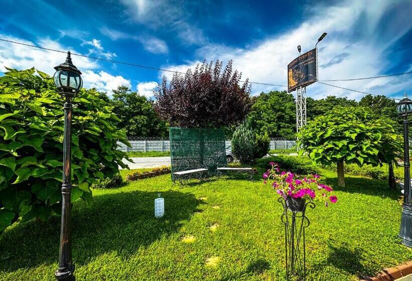 Отель Pensiunea Cristal