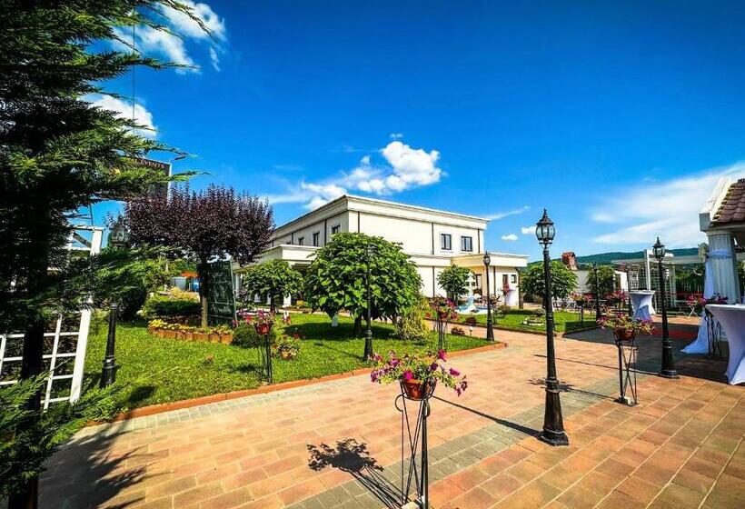 Отель Pensiunea Cristal