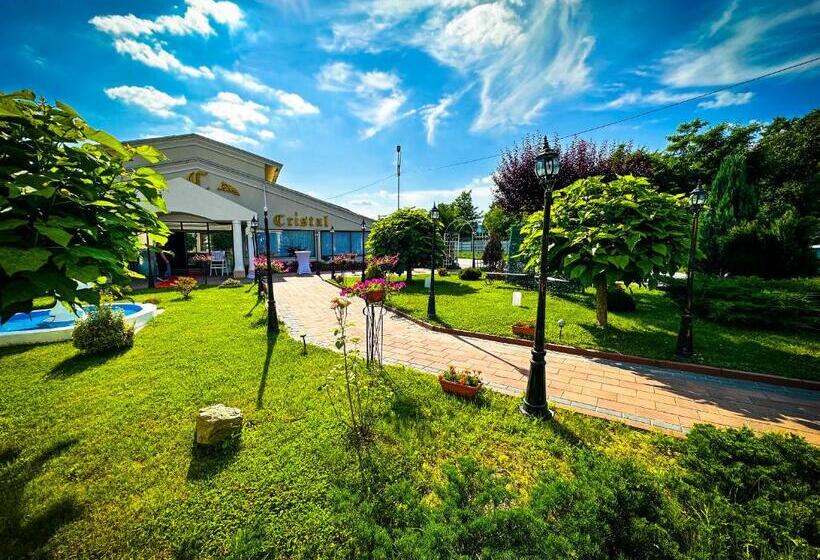 Отель Pensiunea Cristal