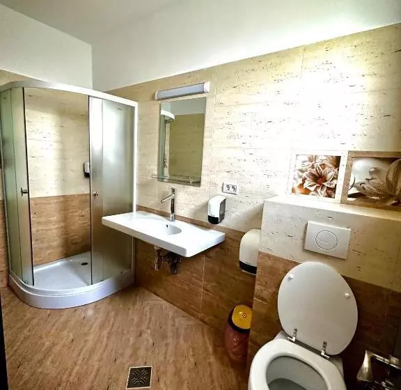 ホテル Pensiunea Cristal