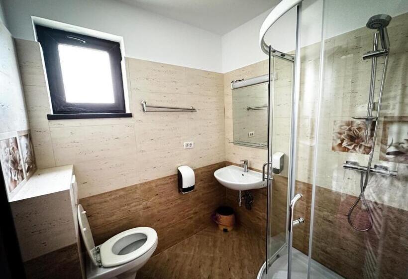 Отель Pensiunea Cristal