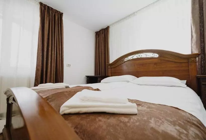 ペンション Casa Baronului