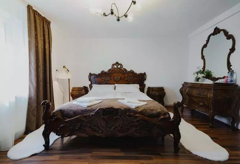 ペンション Casa Baronului