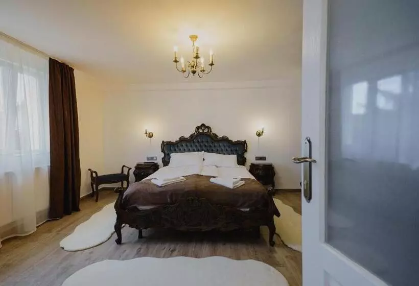 ペンション Casa Baronului