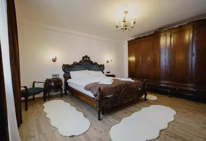 ペンション Casa Baronului