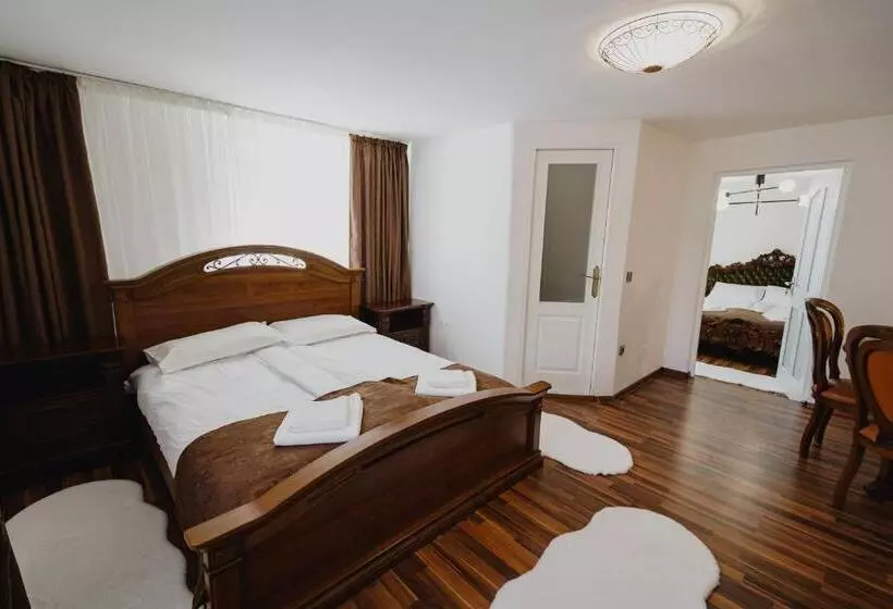 ペンション Casa Baronului