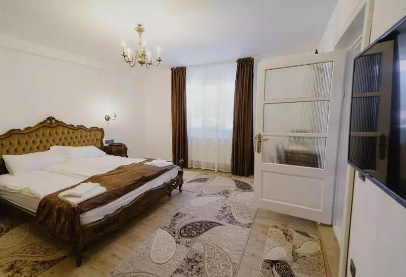 ペンション Casa Baronului