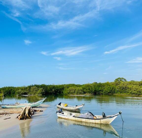 پانسیون Alkimia Beach