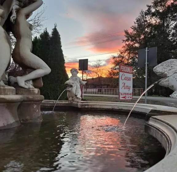 Pensiunea Casa Amy
