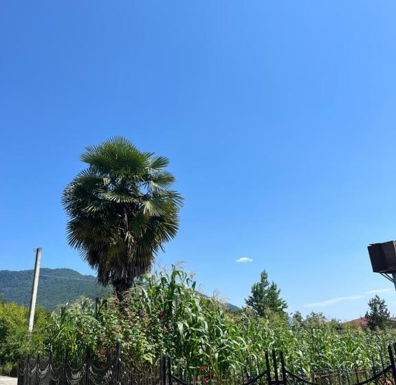 پانسیون Guesthouse Kvara  Mukhuri