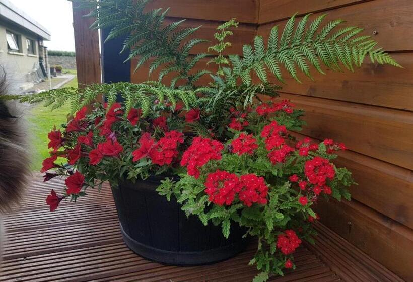 펜션 Glamorous Glamping