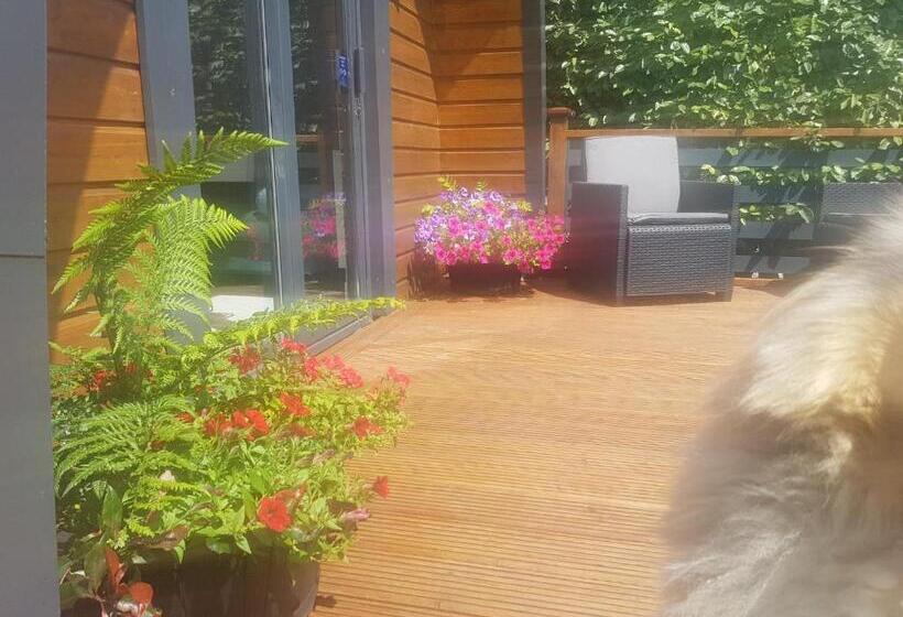 펜션 Glamorous Glamping