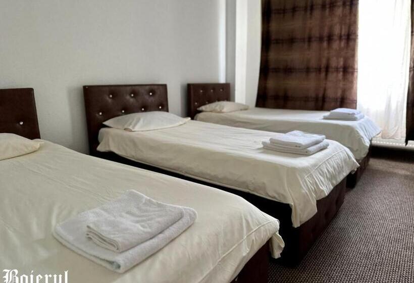 هتل Boierul La Florenta