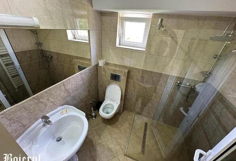 هتل Boierul La Florenta