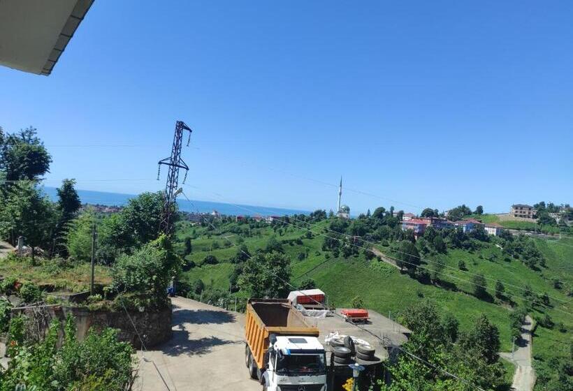 بنسيون Badalapart