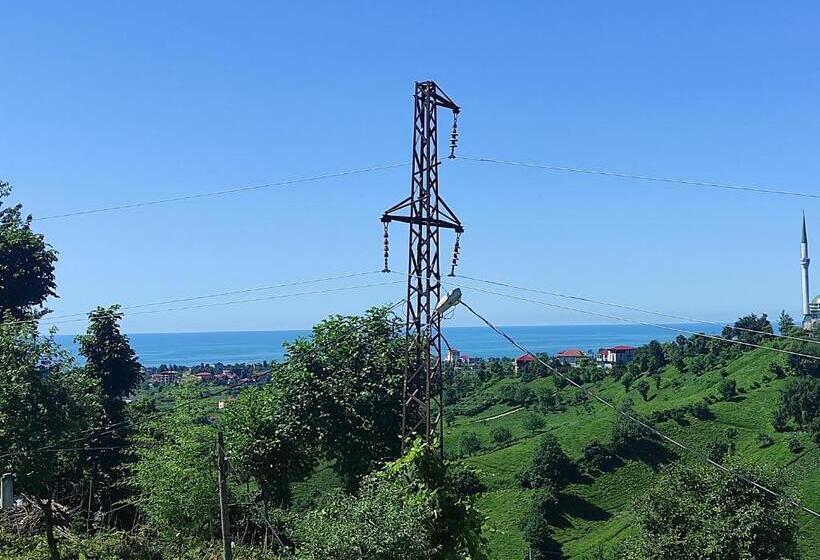 بنسيون Badalapart