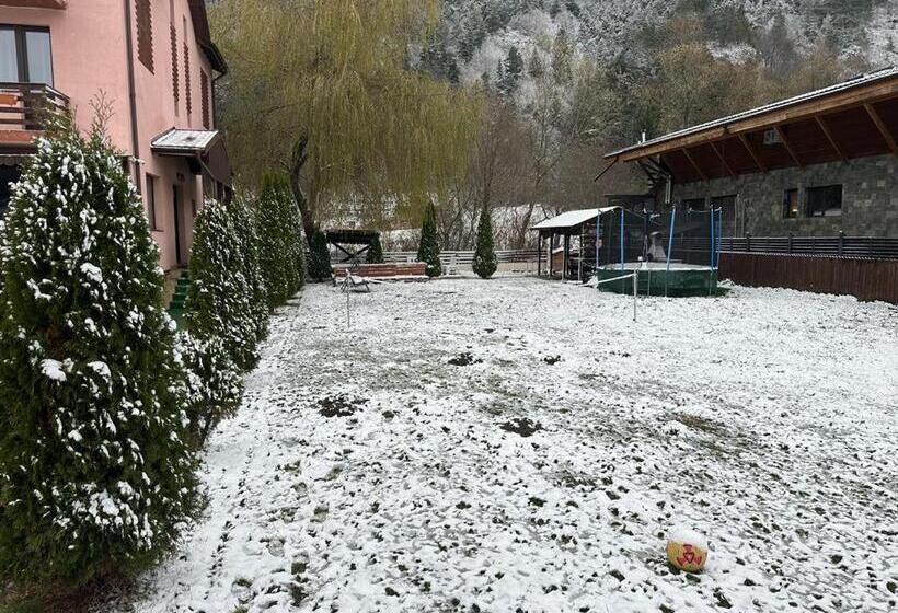 펜션 La Hotar Bran Moieciu