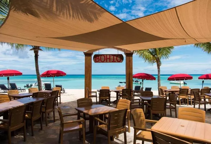 Bohio Dive Resort