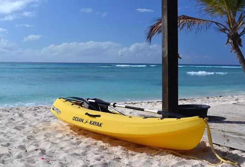 Bohio Dive Resort