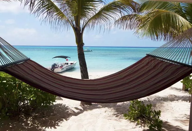 Bohio Dive Resort