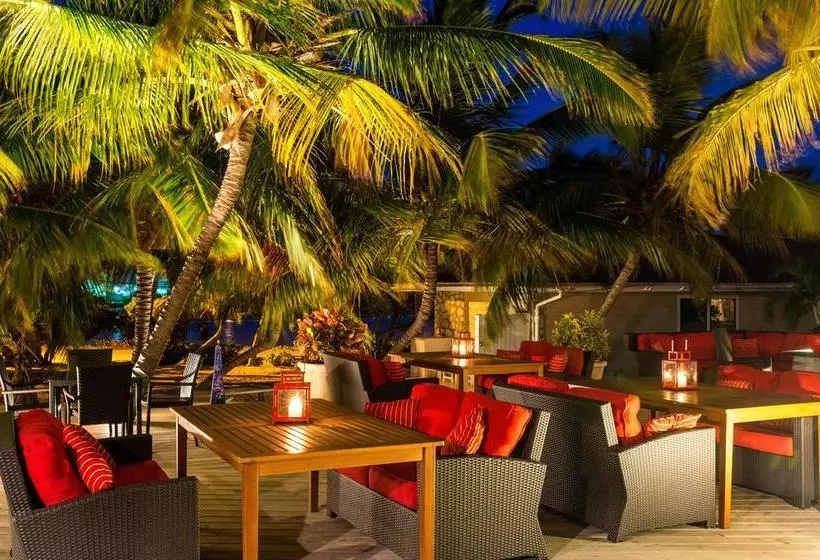 Bohio Dive Resort