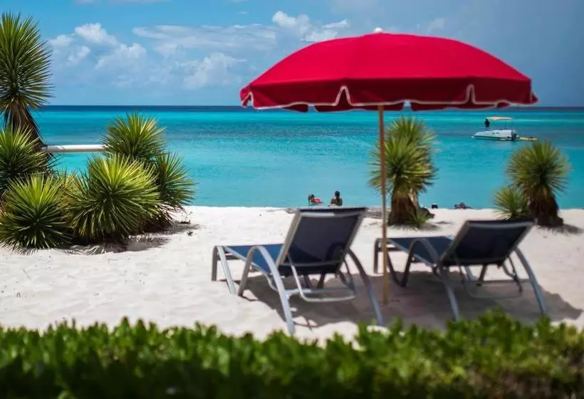 Bohio Dive Resort