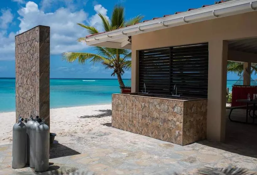 Bohio Dive Resort
