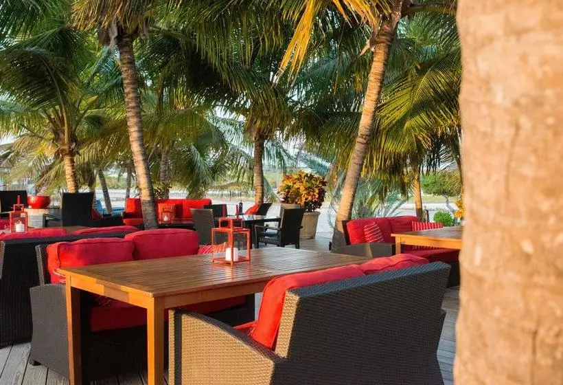 Bohio Dive Resort