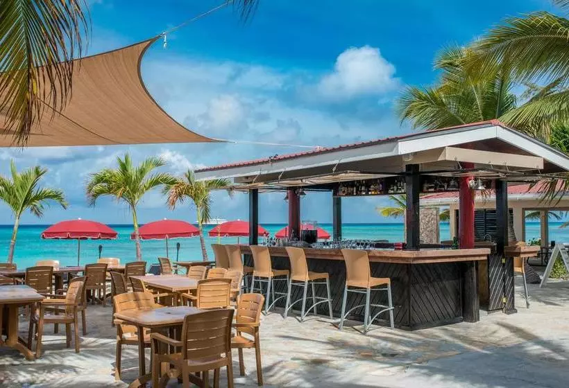 Bohio Dive Resort