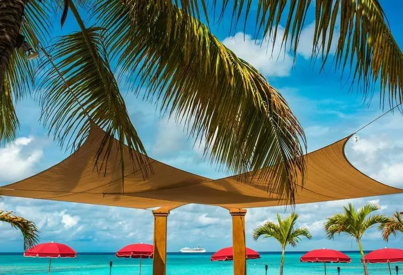 Bohio Dive Resort
