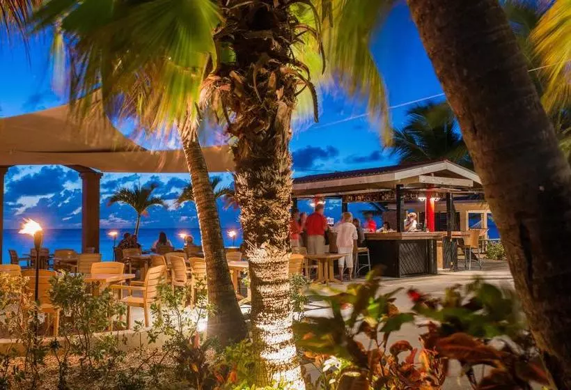 Bohio Dive Resort