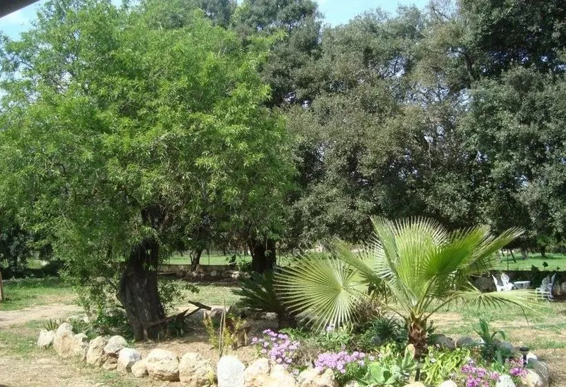 Sa Figuera Blanca