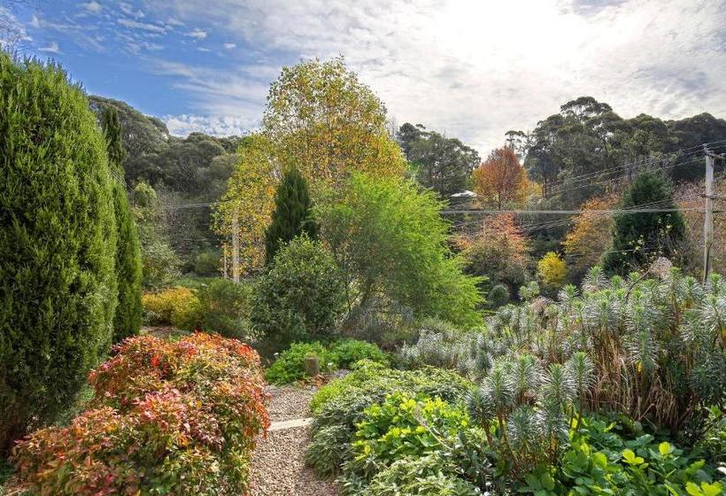 호텔 Hills Havens Cottages