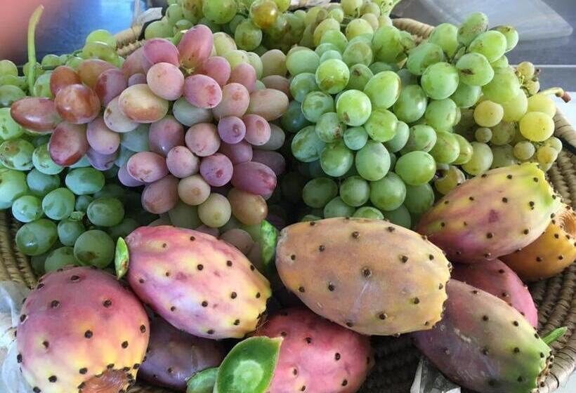 בית מלון כפרי Monreale