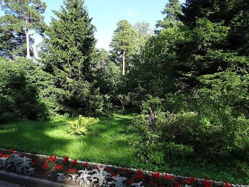 בית מלון כפרי Pansionat Repino By Cronwell