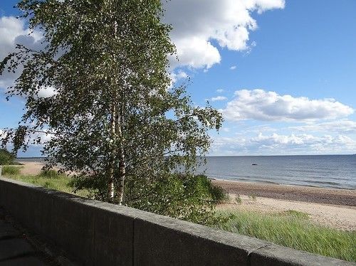 בית מלון כפרי Pansionat Repino By Cronwell