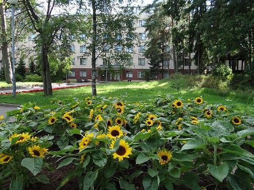 בית מלון כפרי Pansionat Repino By Cronwell