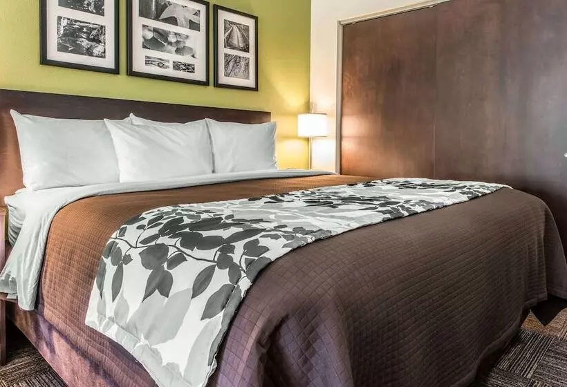 ホテル Sleep Inn Ellenboro Hwy 50