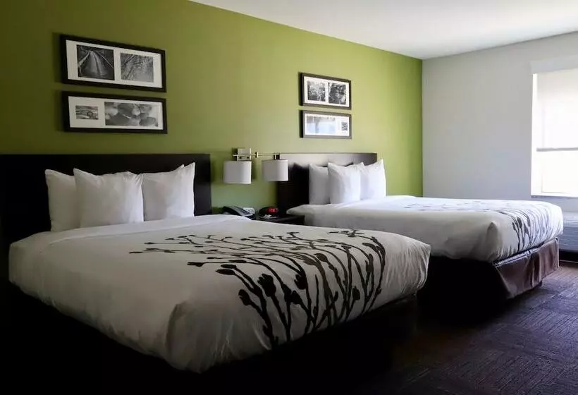 ホテル Sleep Inn Ellenboro Hwy 50