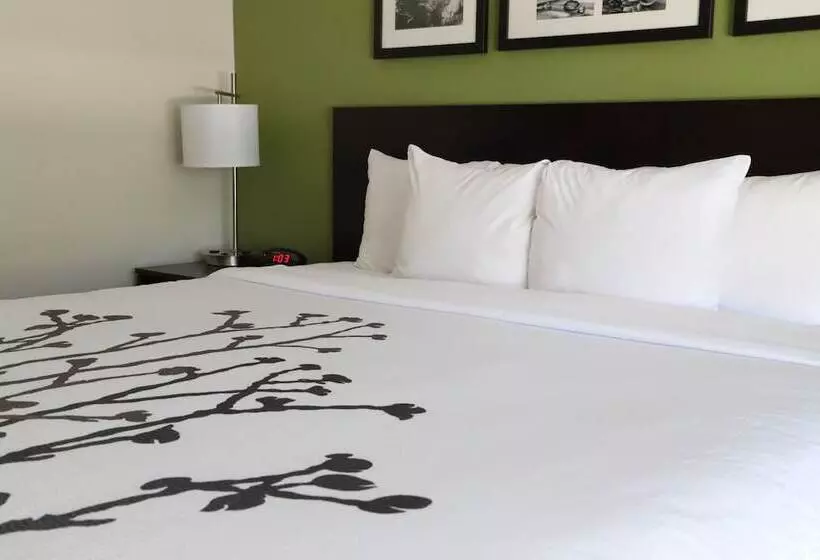 ホテル Sleep Inn Ellenboro Hwy 50