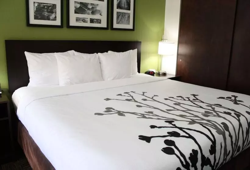 ホテル Sleep Inn Ellenboro Hwy 50
