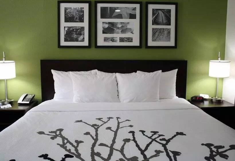 ホテル Sleep Inn Ellenboro Hwy 50