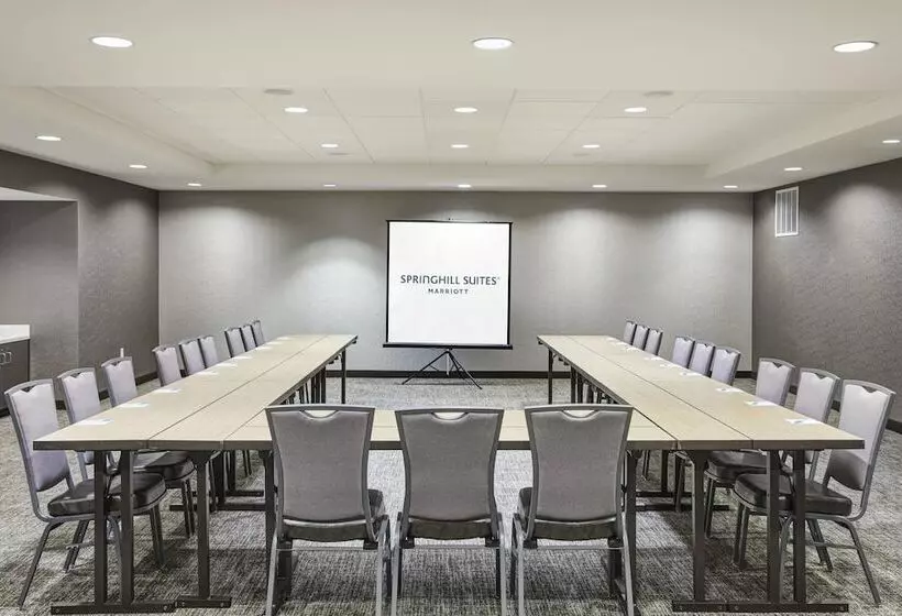 Hotelli Springhill Suites By Marriott Milwaukee Downtown