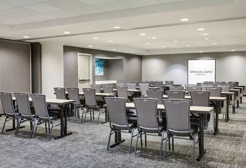 Hotelli Springhill Suites By Marriott Milwaukee Downtown