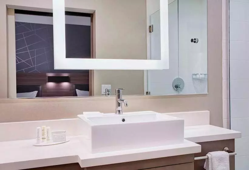 Hotelli Springhill Suites By Marriott Milwaukee Downtown