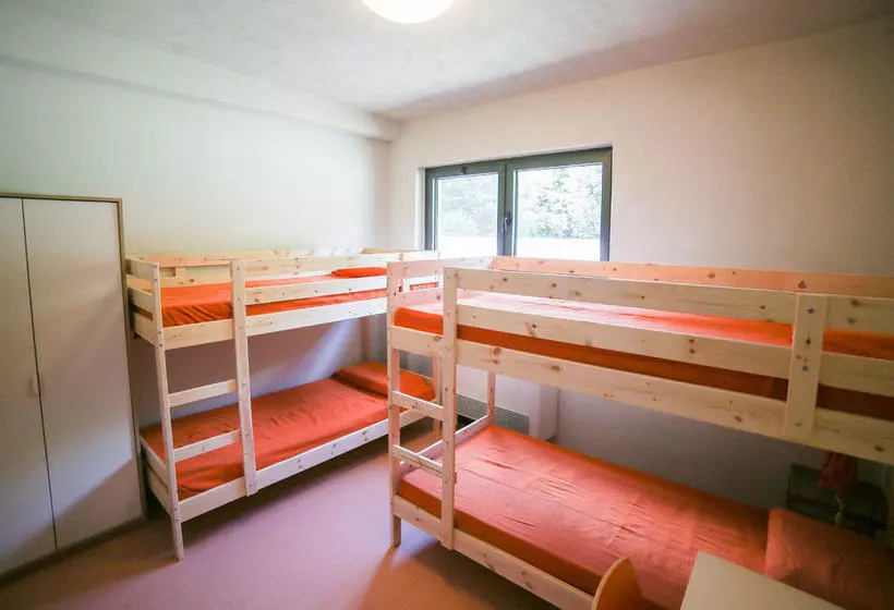 Oasi Hostel