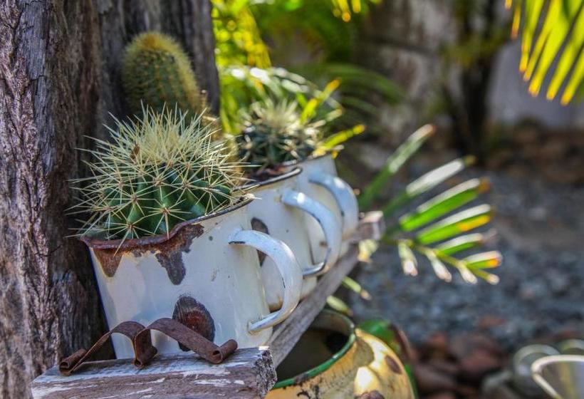 ペンション Aber Jetz Guesthouse