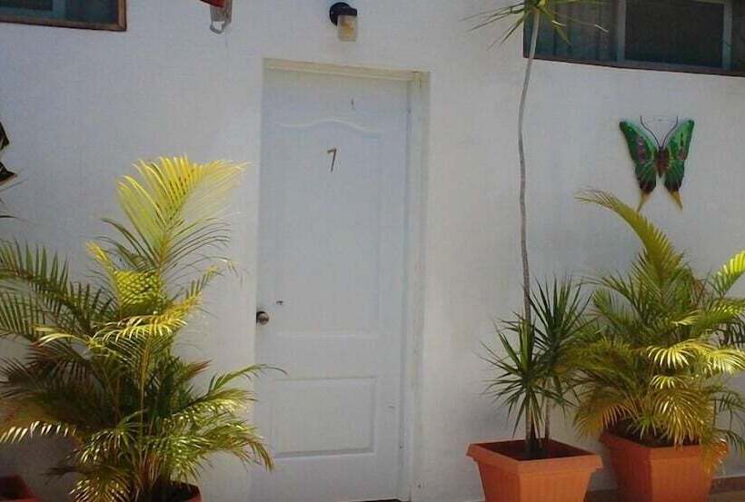 Tropical Bed & Breakfast